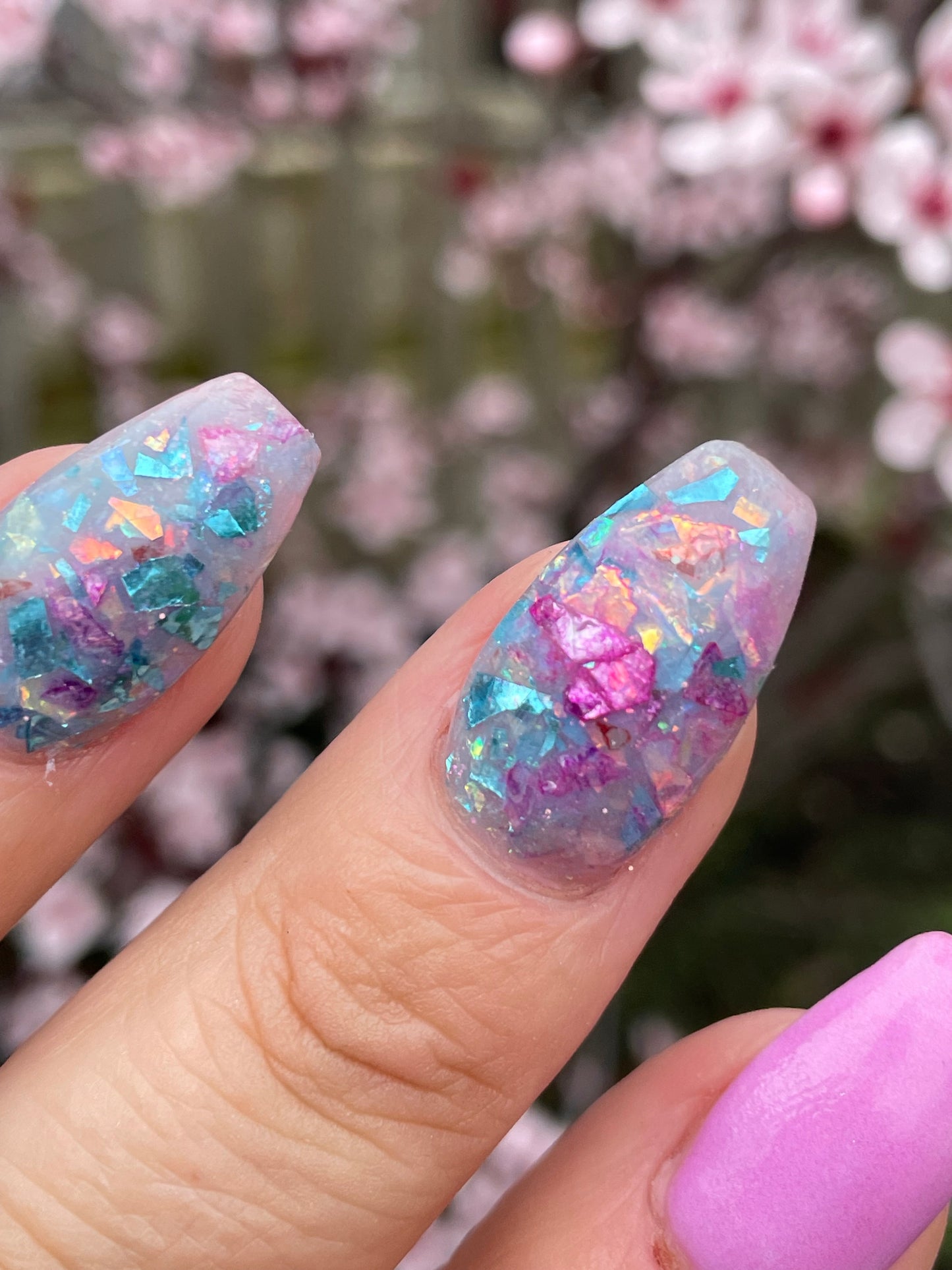 Shell Dreams (glow)
