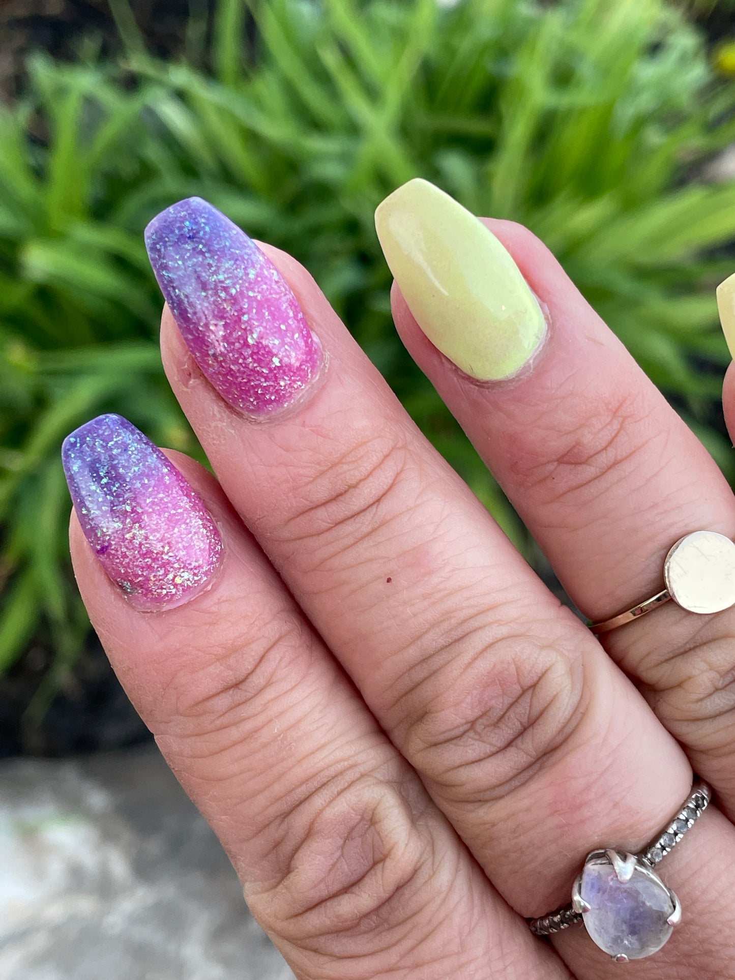 Mermaid Mimosa (thermal)