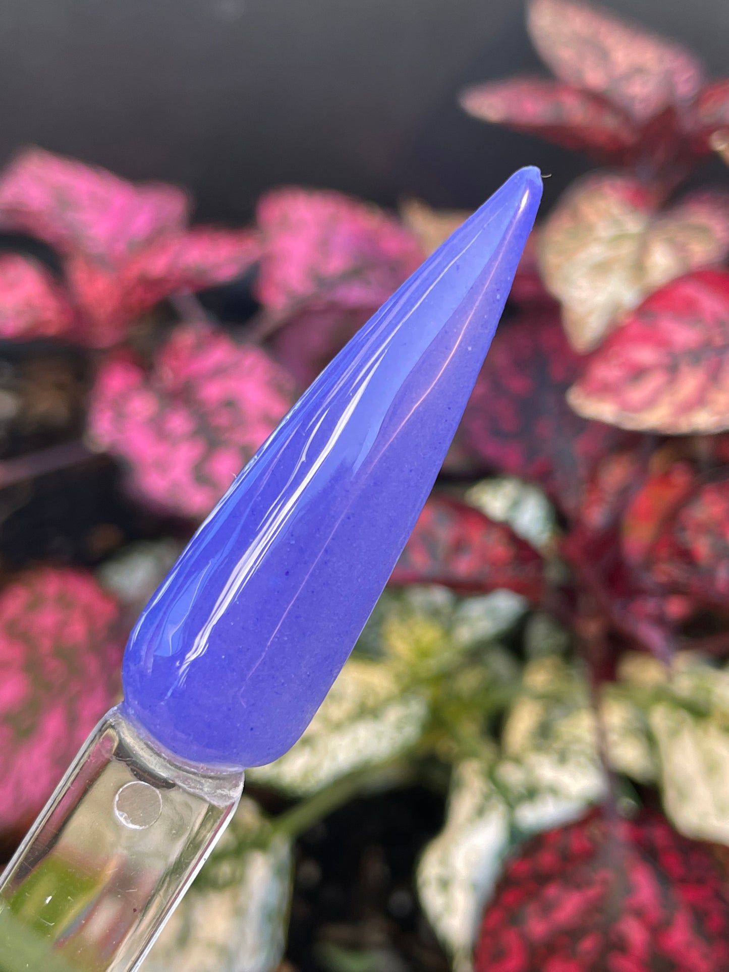 Indigo Love