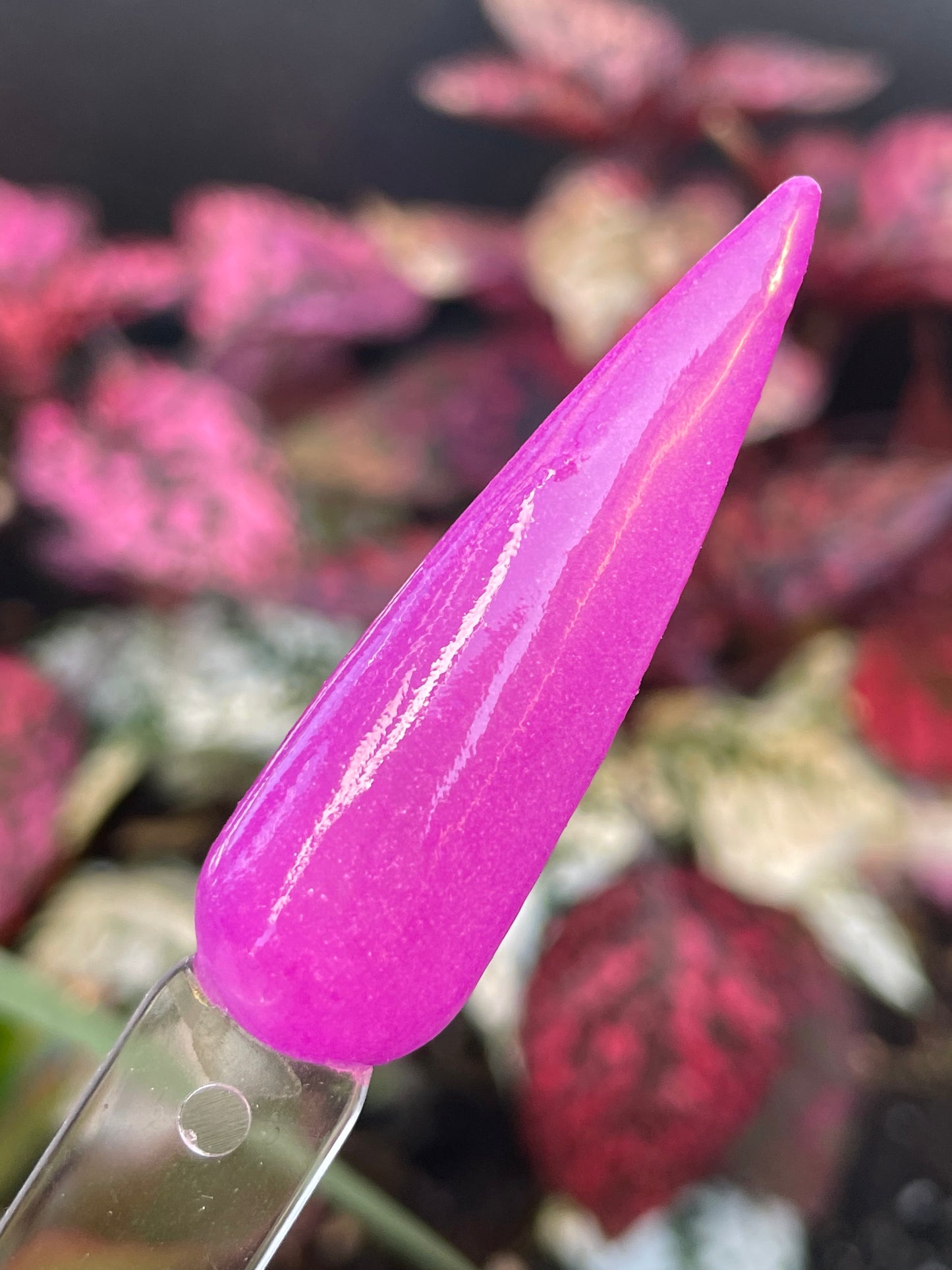 Magenta Magic