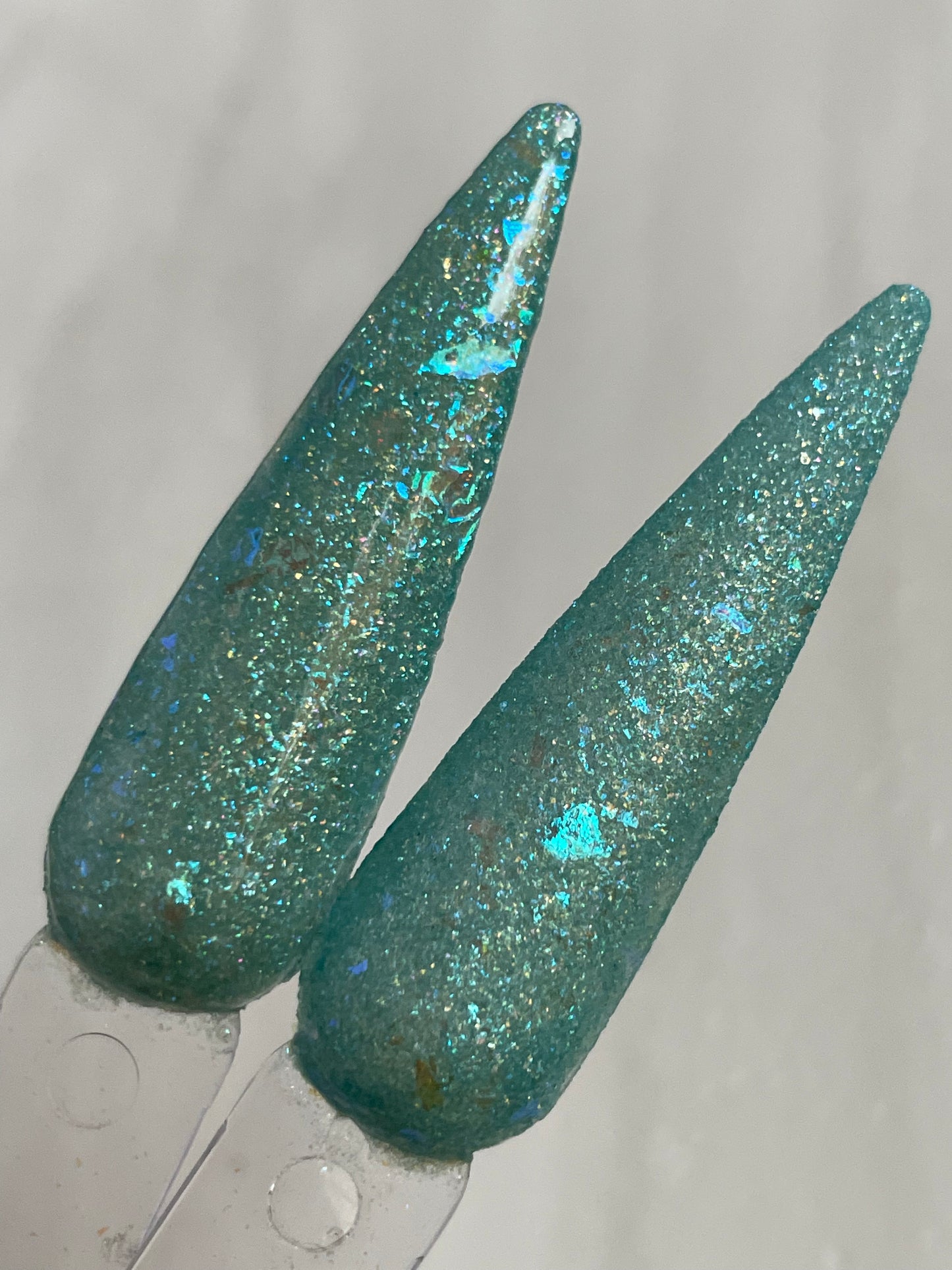 Abalone