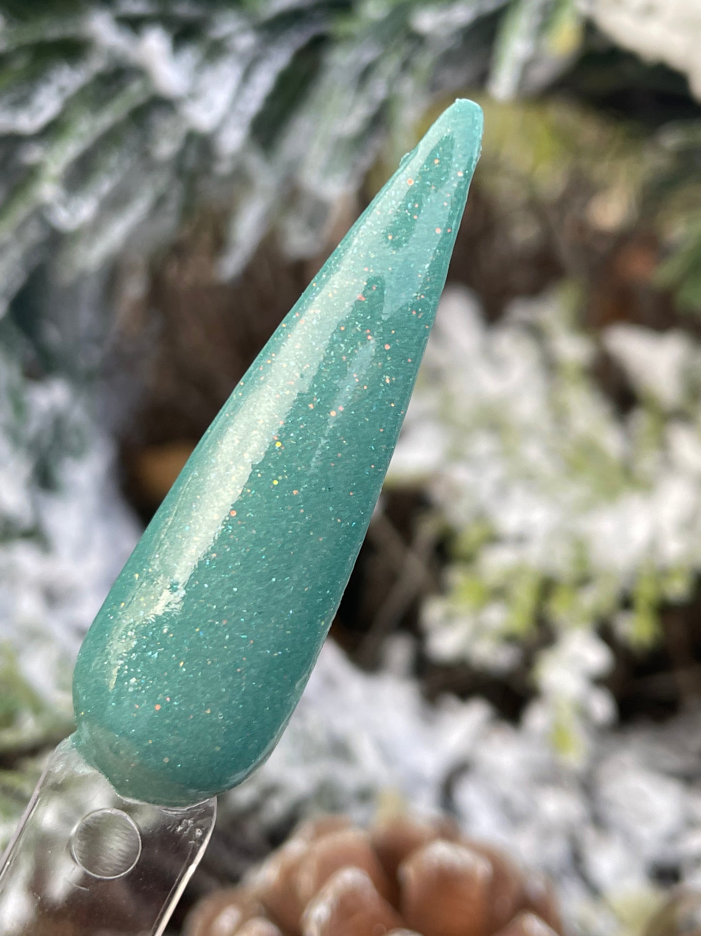 Spruce