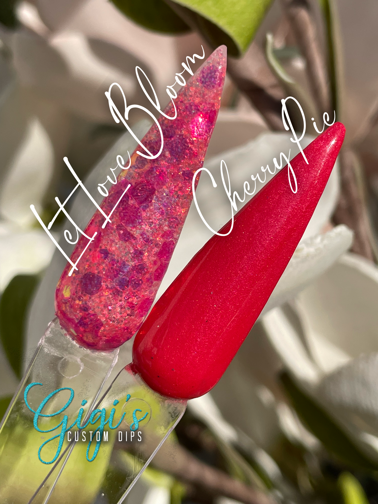 Let Love Bloom