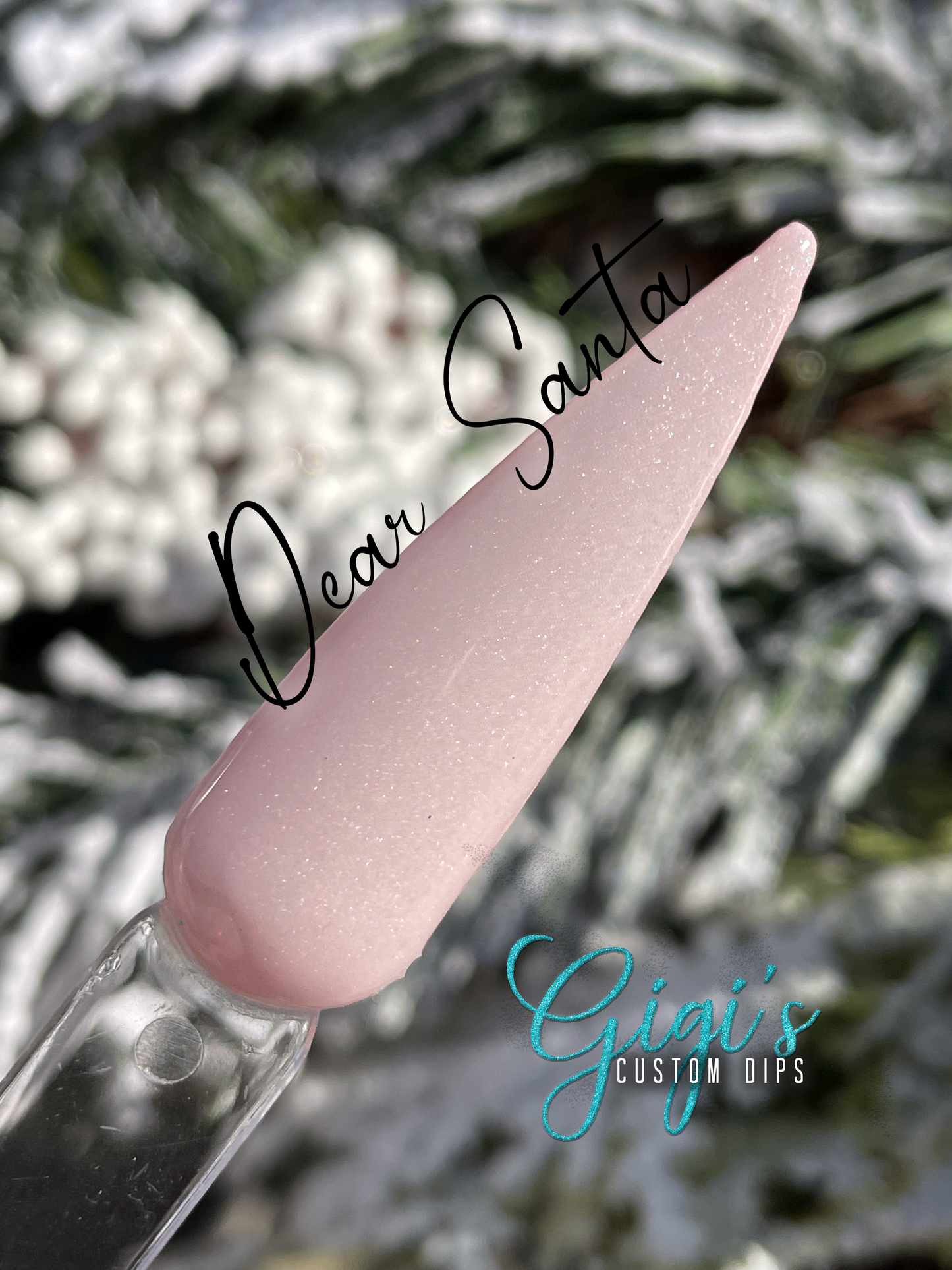 Dear Santa