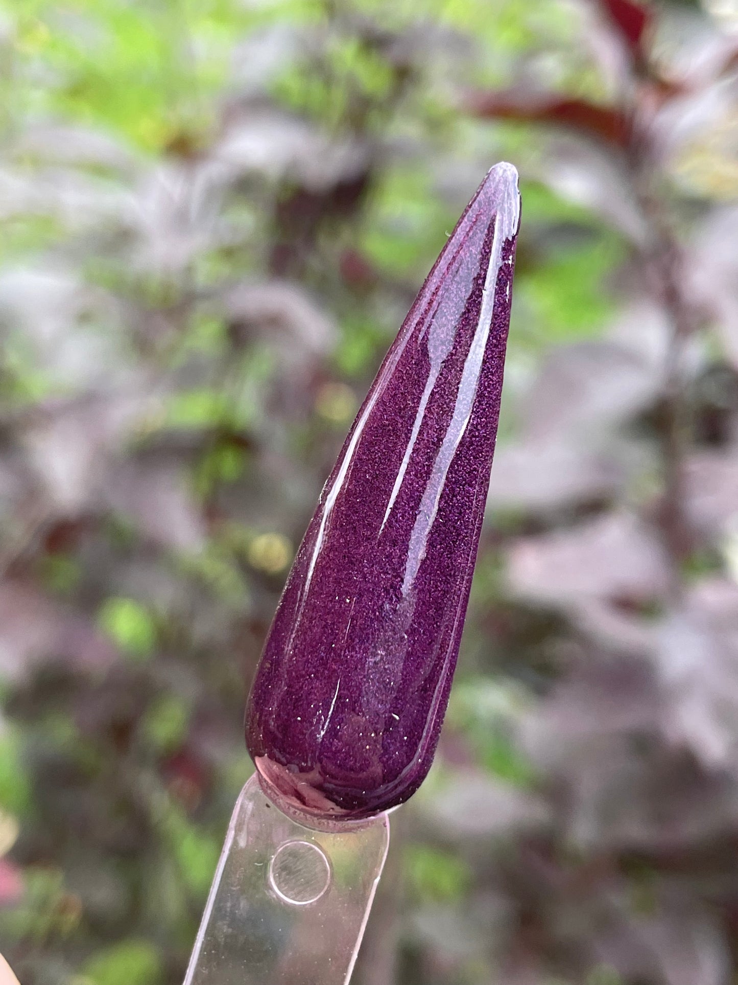 Plum Forgot