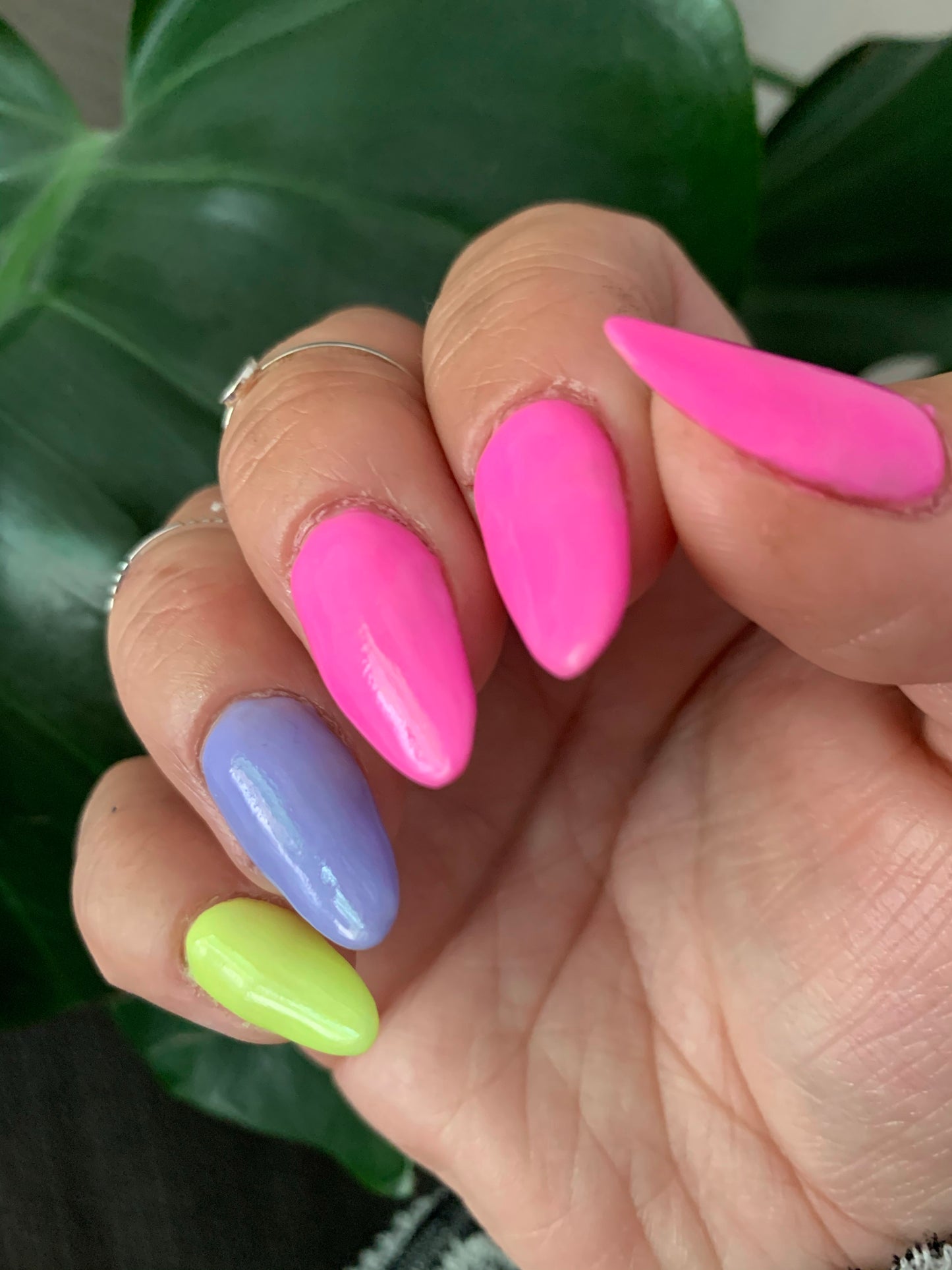 Barbz