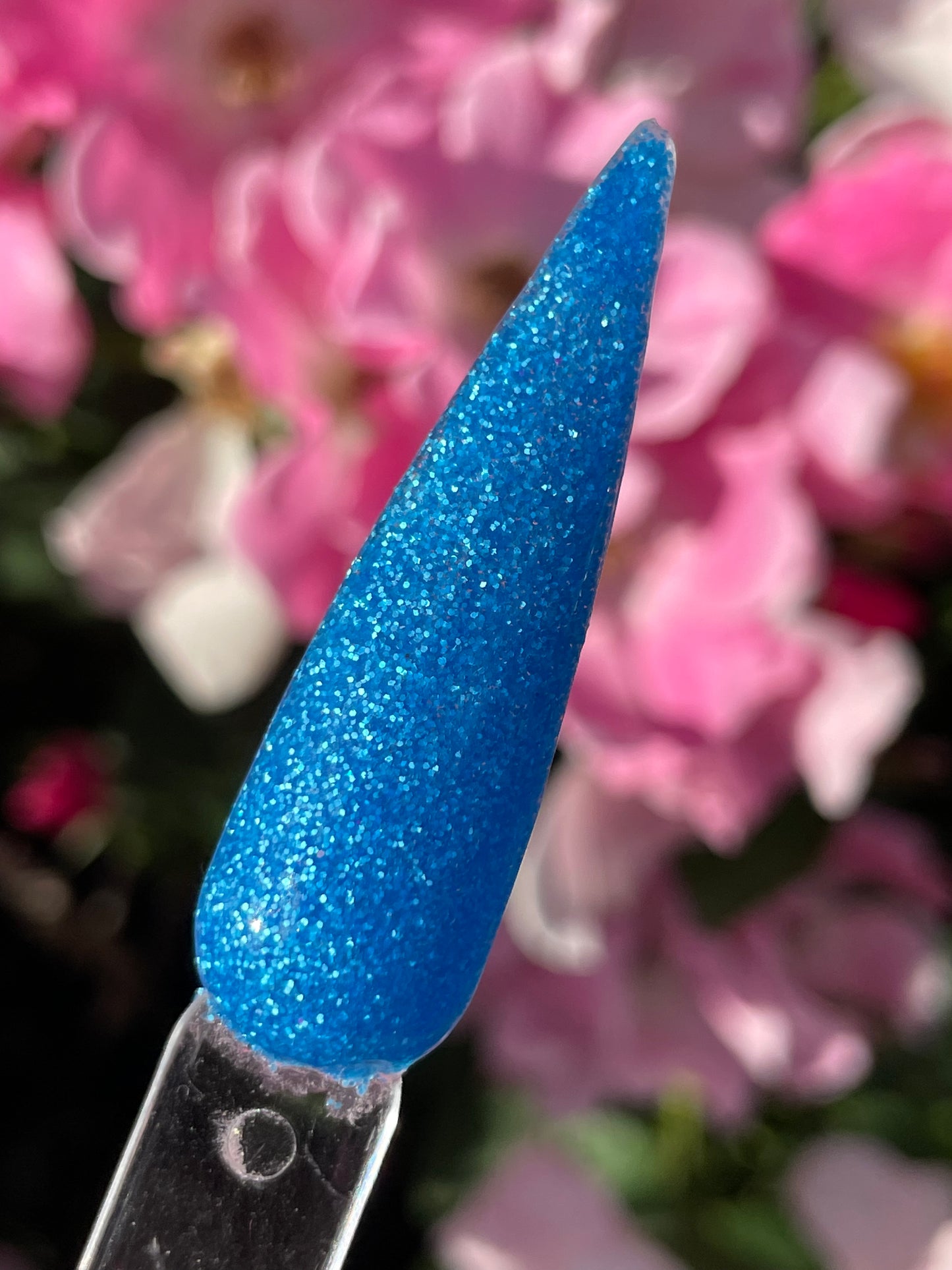 Feeling Blue Berry