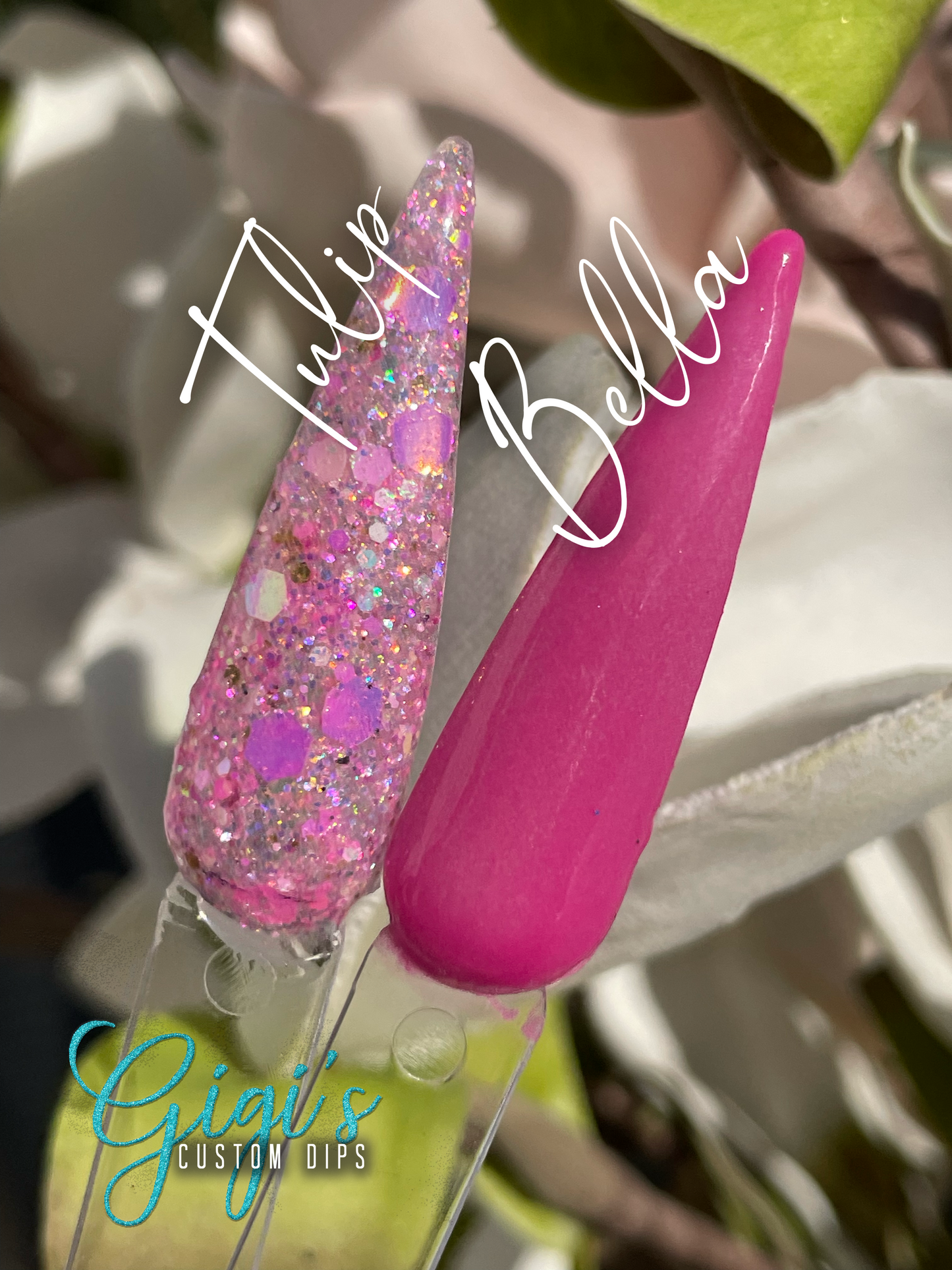 Tulip