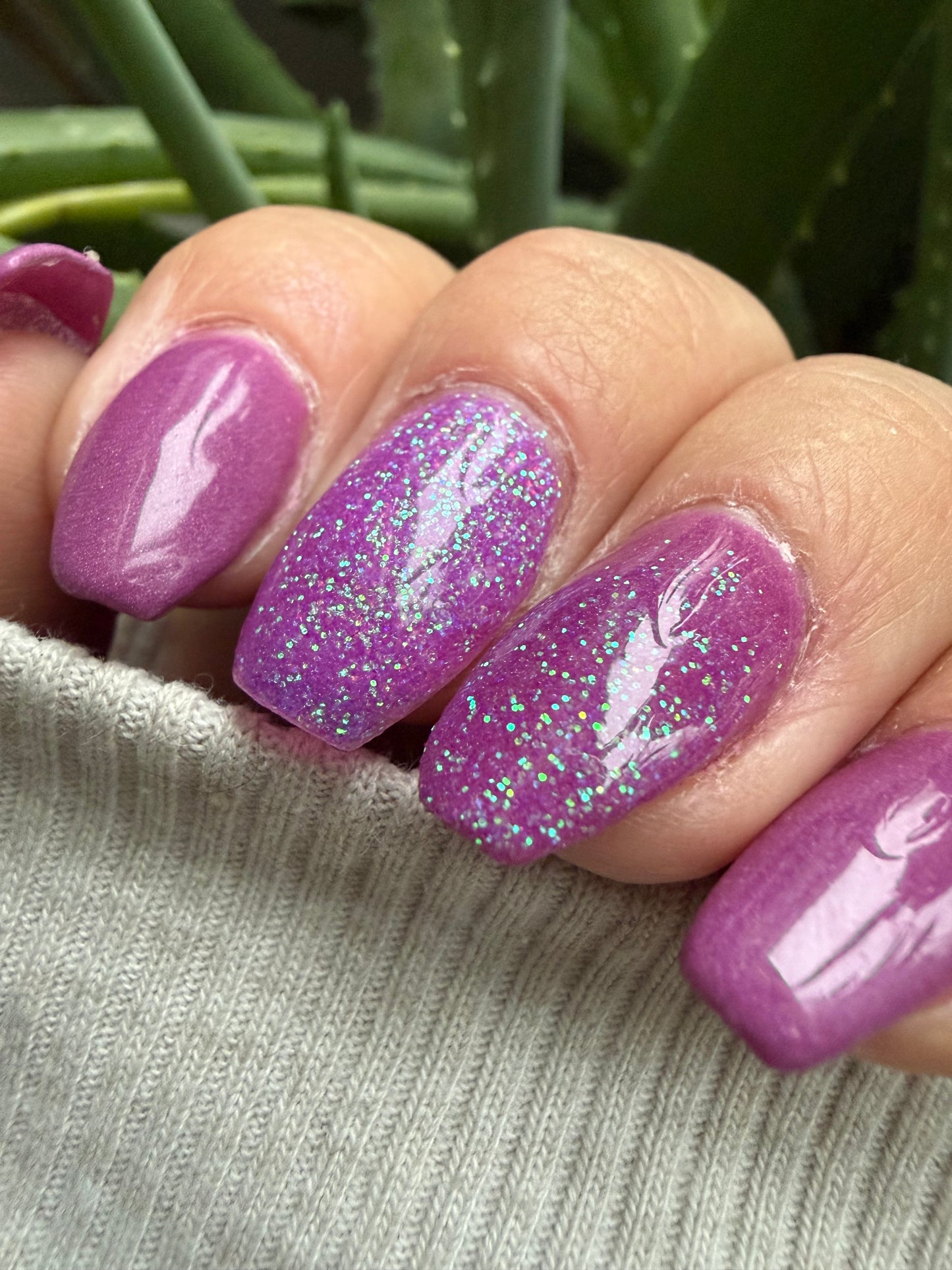 Cosmic Orchid