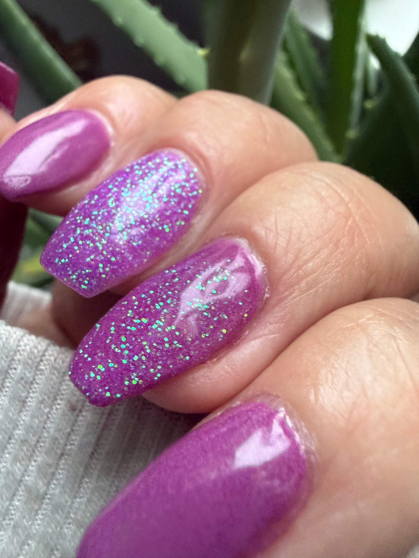 Cosmic Orchid