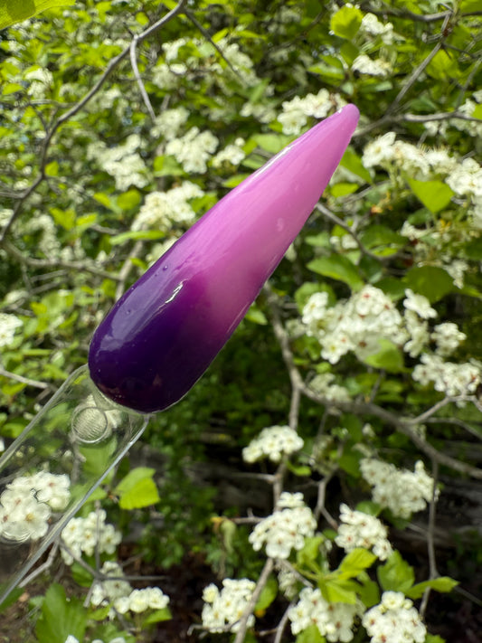 Fancy (Triple Thermal)