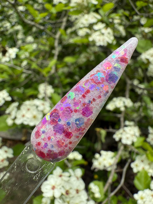 Happy as a Clamshell