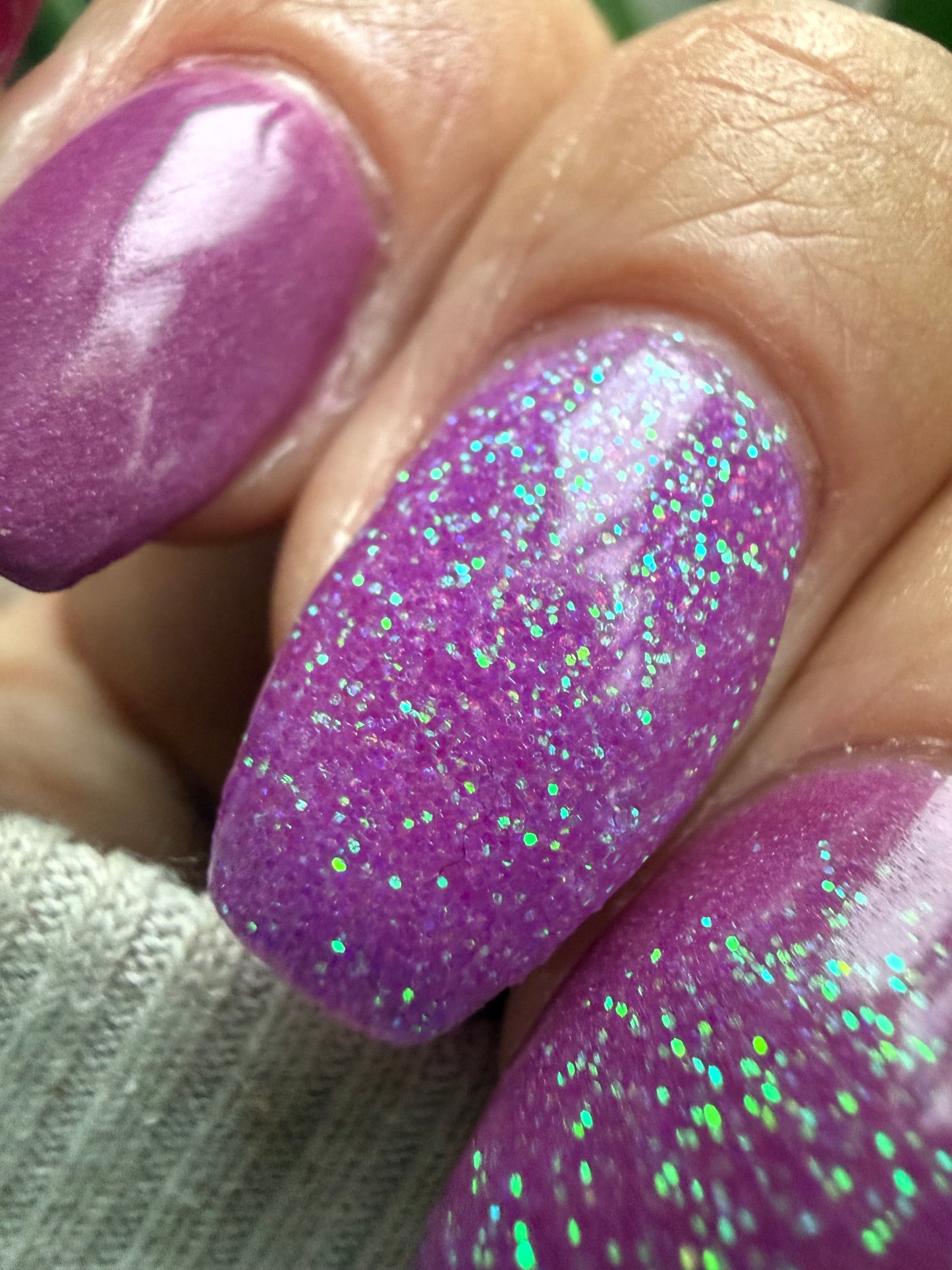 Cosmic Orchid