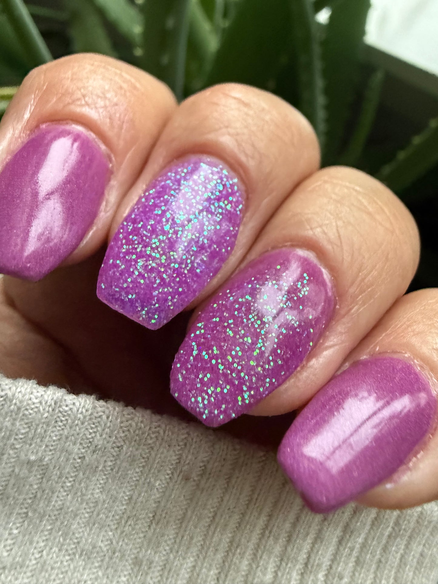 Cosmic Orchid