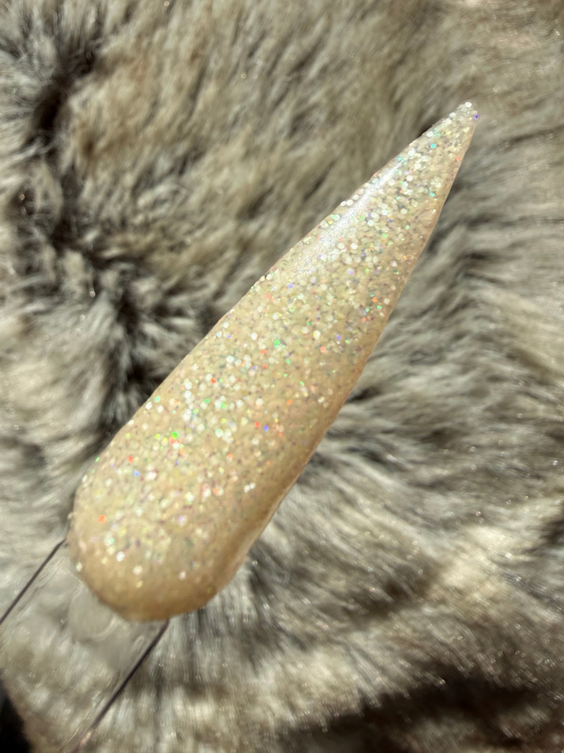 Sand Dollar birthday bundle swatch