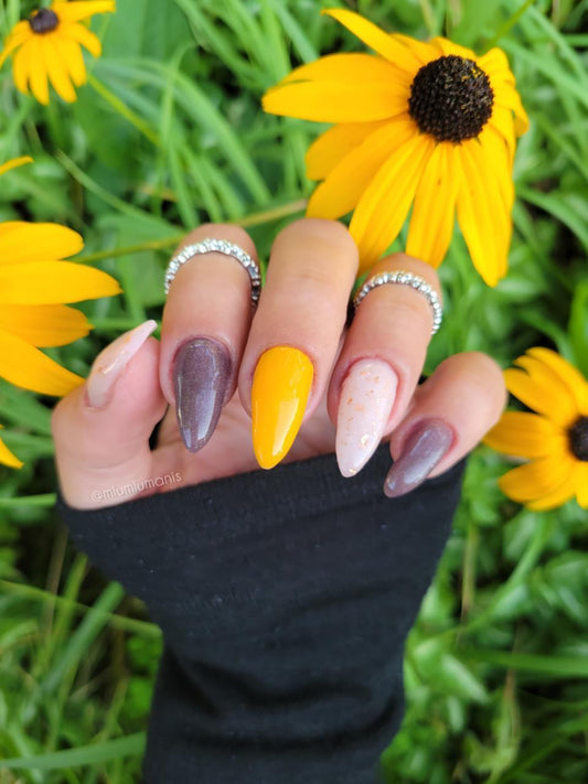 Dark Side of the Moon